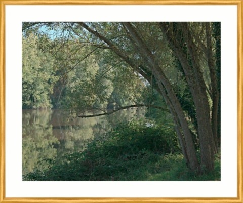 Bord de Vienne à Aixe-sur-Vienne