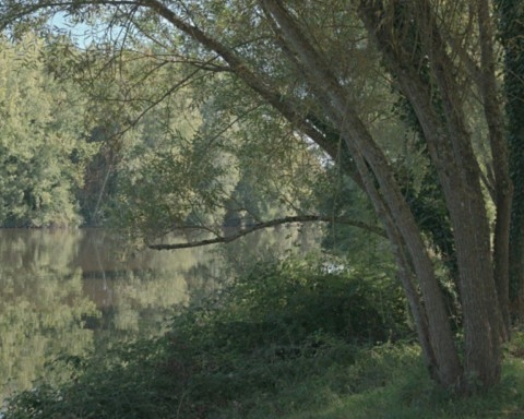 Bord de Vienne à Aixe-sur-Vienne
