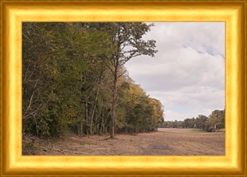 Coupe à Rochechouart en octobre