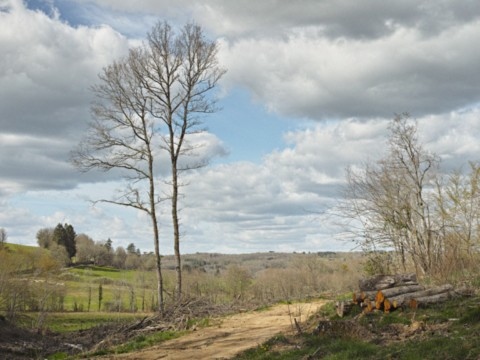 Environs de Saint-Auvent