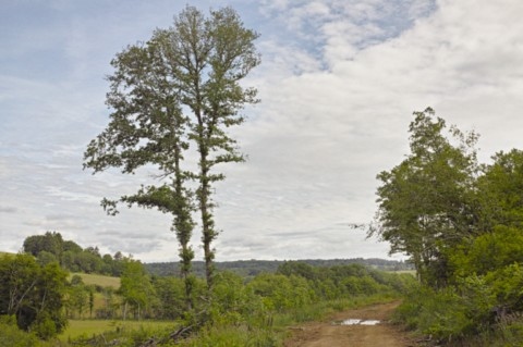 Environs de Saint-Auvent