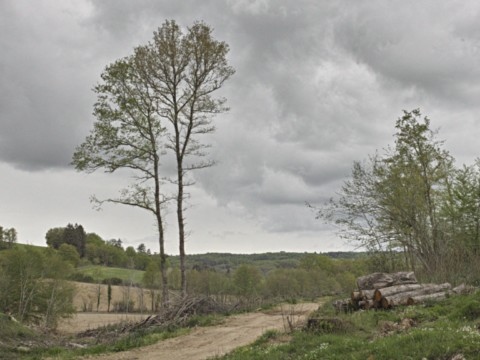 Environs de Saint-Auvent