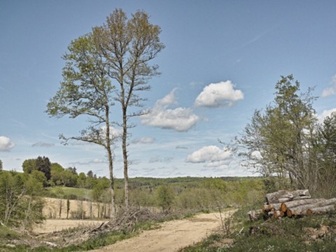 Environs de Saint-Auvent