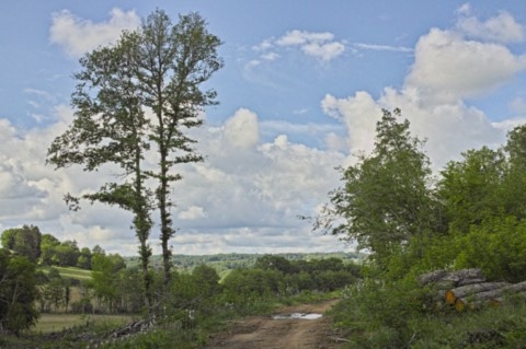 Environs de Saint-Auvent