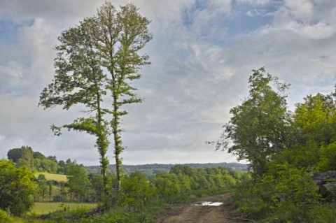 Environs de Saint-Auvent