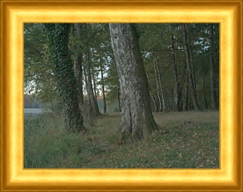 Grand Lac de Saint-Estèphe