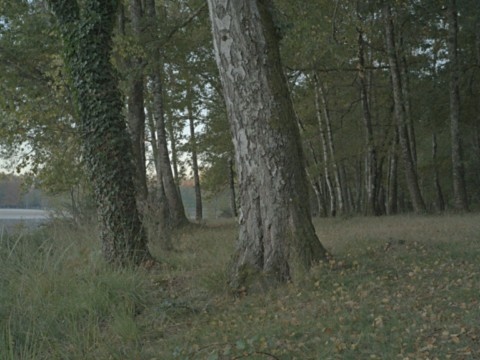 Grand Lac de Saint-Estèphe