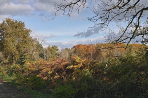 Lacs de Charente