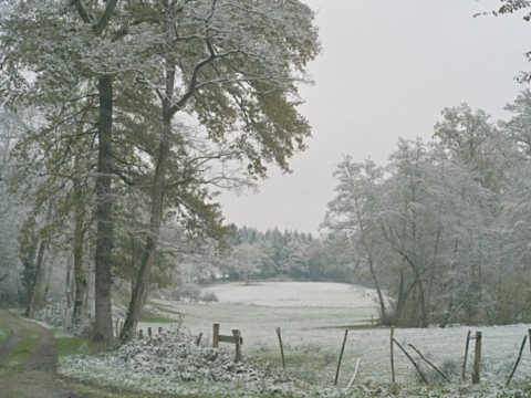 Neige à Rochechouart