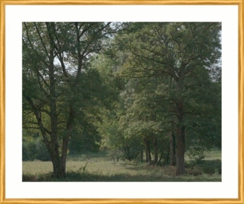 Vallée de l'Abloux vers Eguzon