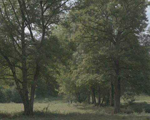 Vallée de l'Abloux vers Eguzon