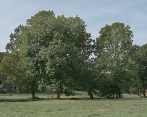 Vallée de l'Abloux vers Eguzon