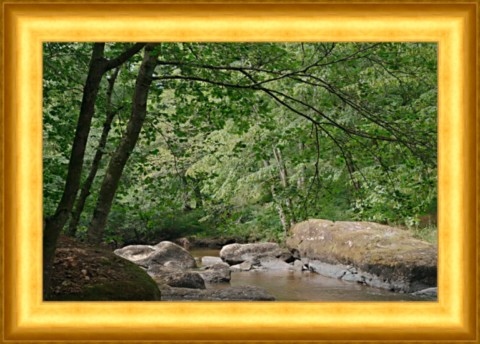Vue du site Corot avec deux arbres