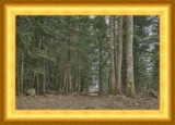 Bois chez Chabert