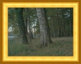 Grand Lac de Saint-Estèphe