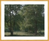 Vallée de l'Abloux vers Eguzon