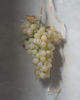 Henri Peyre & Catherine Auguste - Grappe de raisin avec papillon et scarabé
