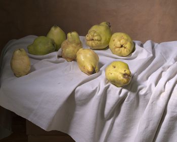 Henri Peyre & Catherine Auguste - Huit coings sur drap blanc